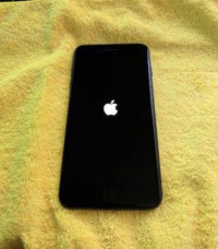 Apple  iphone7