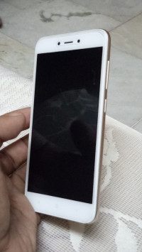 Xiaomi  Redmi 5A