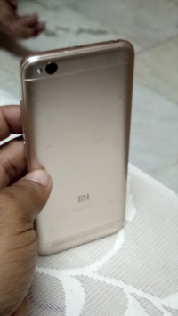 Xiaomi  Redmi 5A