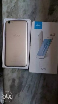 White + Gold Vivo V5