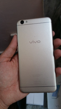 White + Gold Vivo V5
