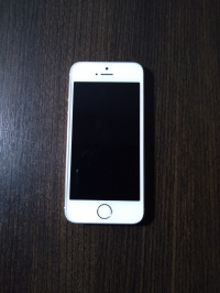 Apple  iPhone 5s