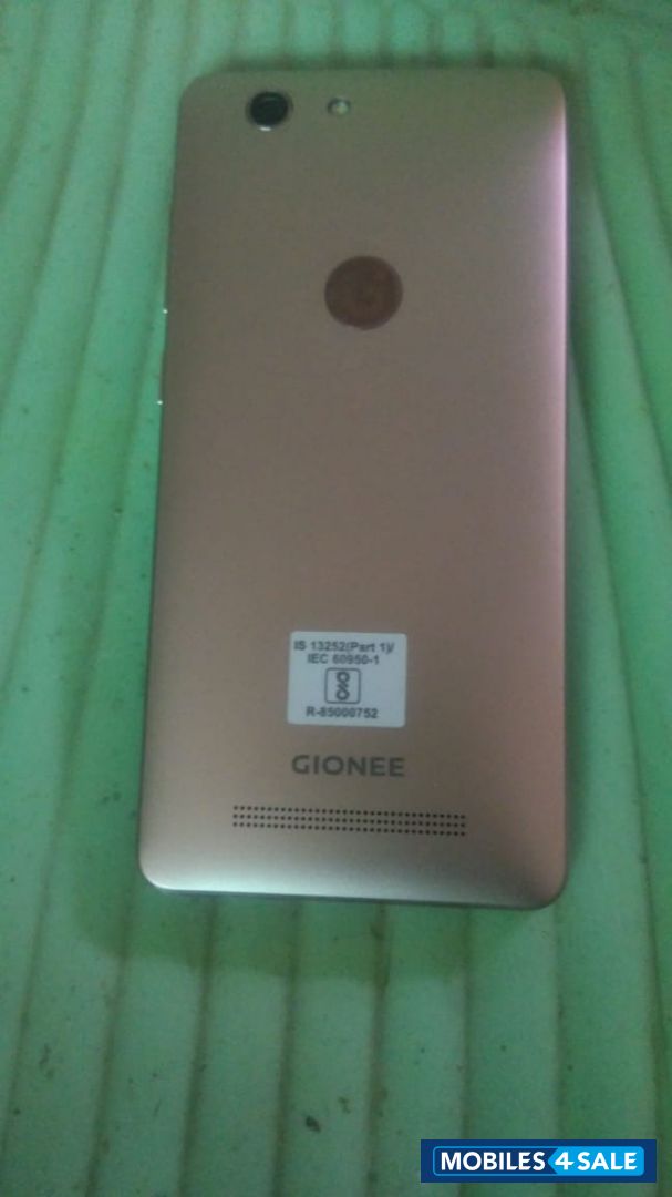 Silver Gold Gionee  F103 PRO