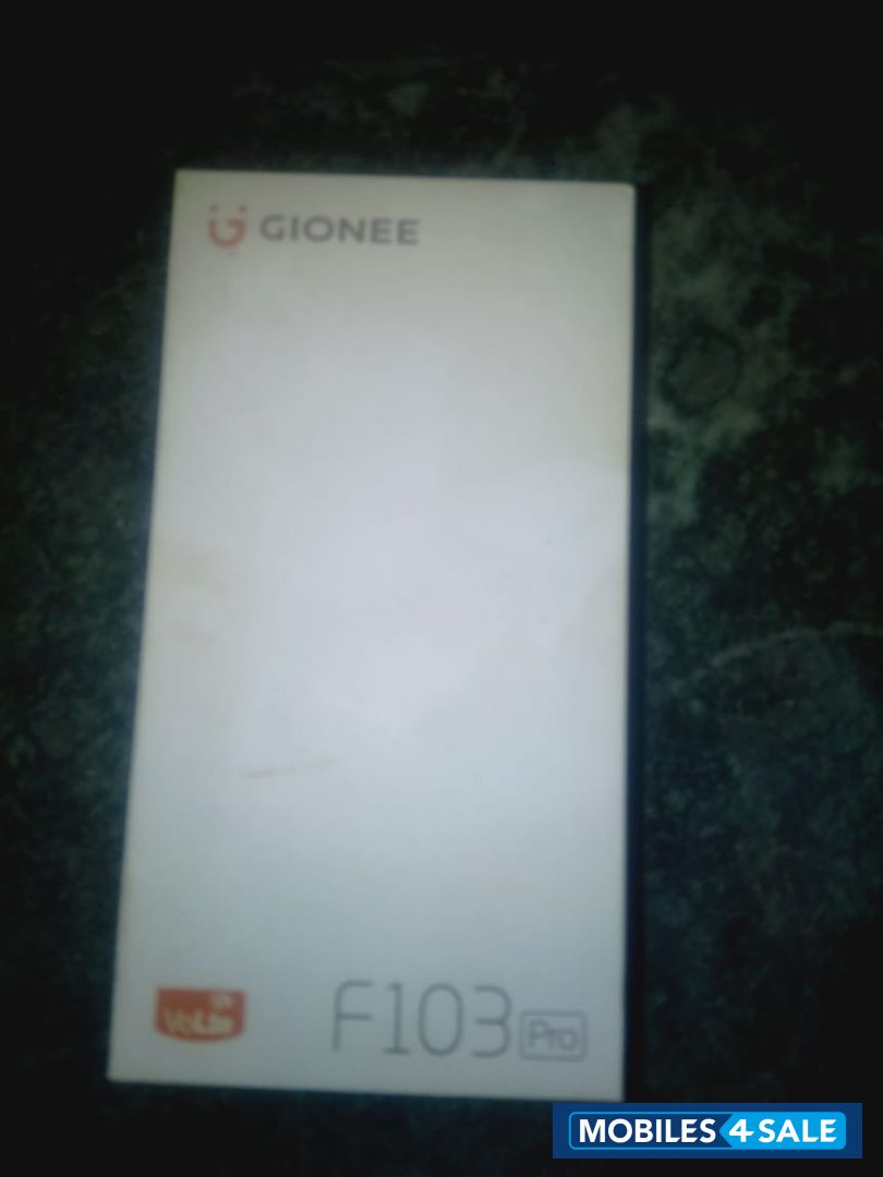 Silver Gold Gionee  F103 PRO