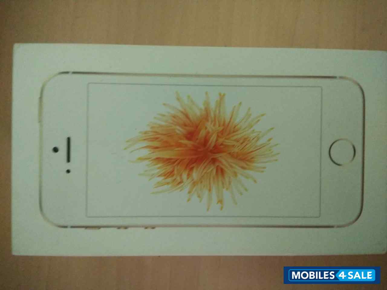 Gold Apple  Iphone se