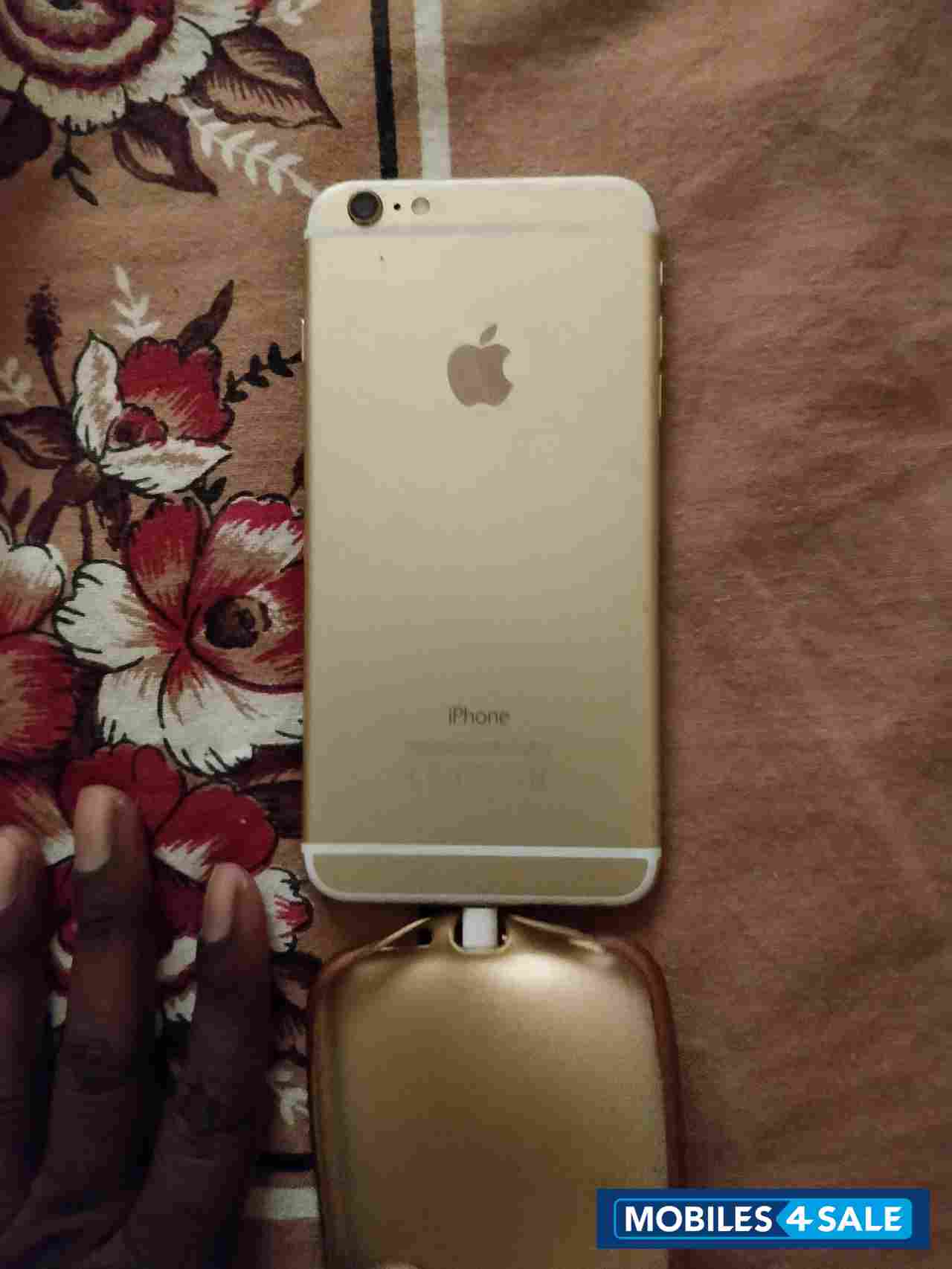 Gold Apple  iPhone 6 plus