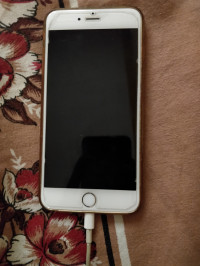 Gold Apple  iPhone 6 plus