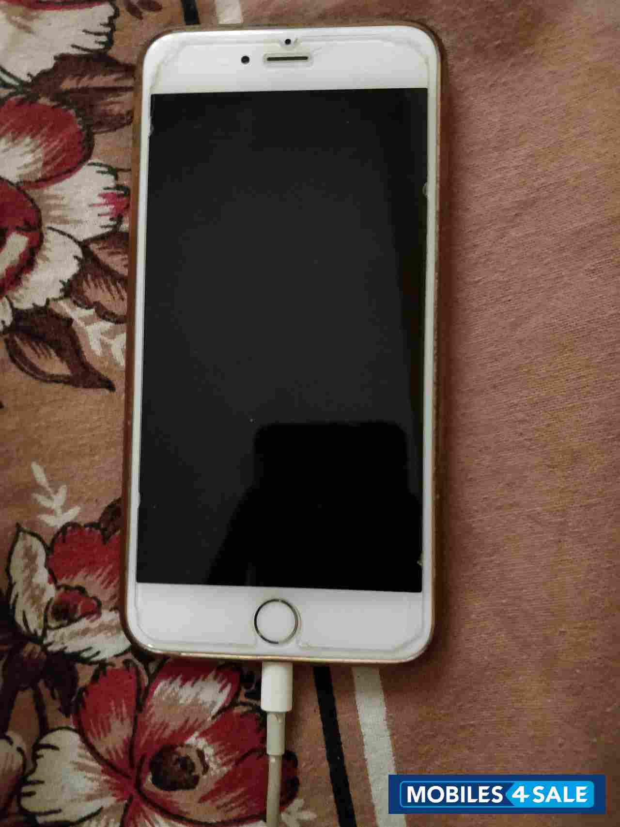 Gold Apple  iPhone 6 plus