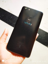 Vivo  vivo v7