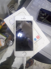 Apple  Iphone 5s