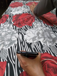 Samsung  Galaxy A8 plus