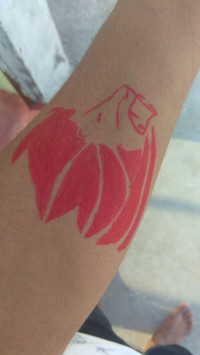 Xiaomi  Redmi note 4