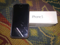Apple iPhone 5s