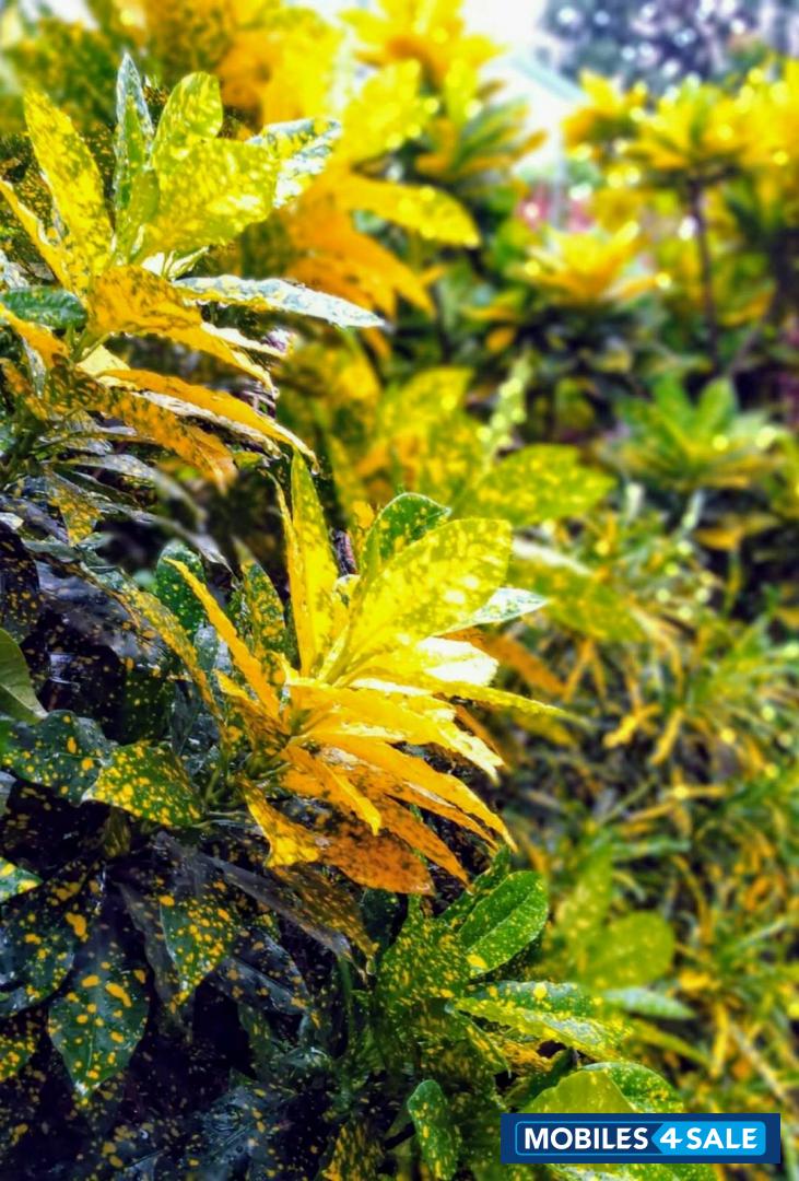 Xiaomi  Redmi 6 Pro 3/32