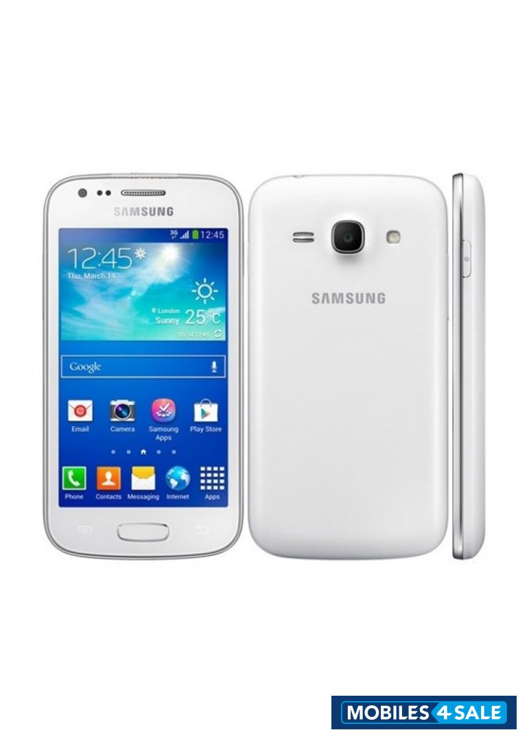 Samsung  g313