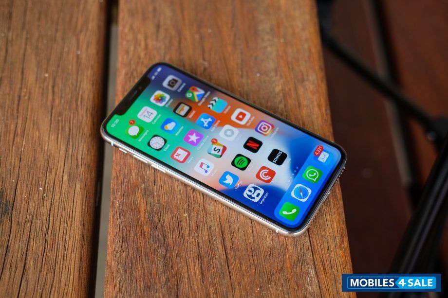 Silver Apple iPhoneX