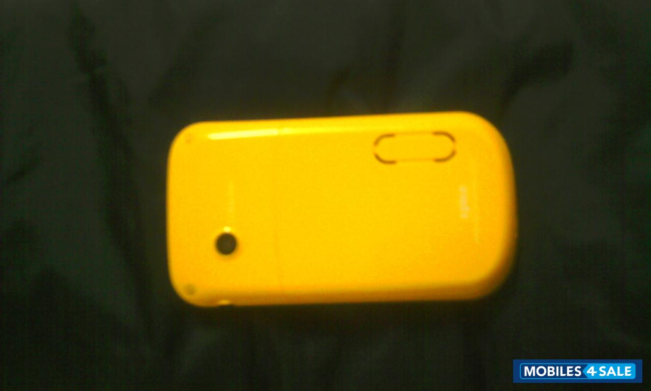 Black & Yellow Spice QT-60