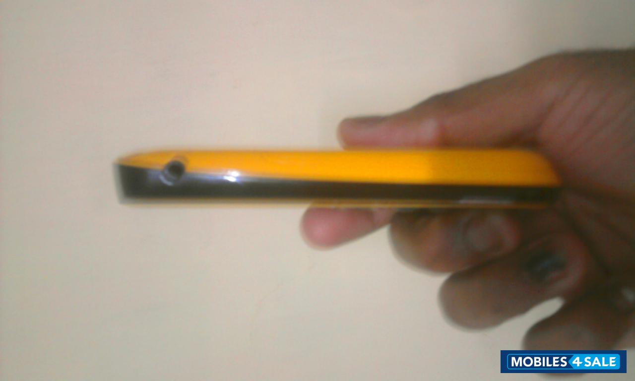 Black & Yellow Spice QT-60