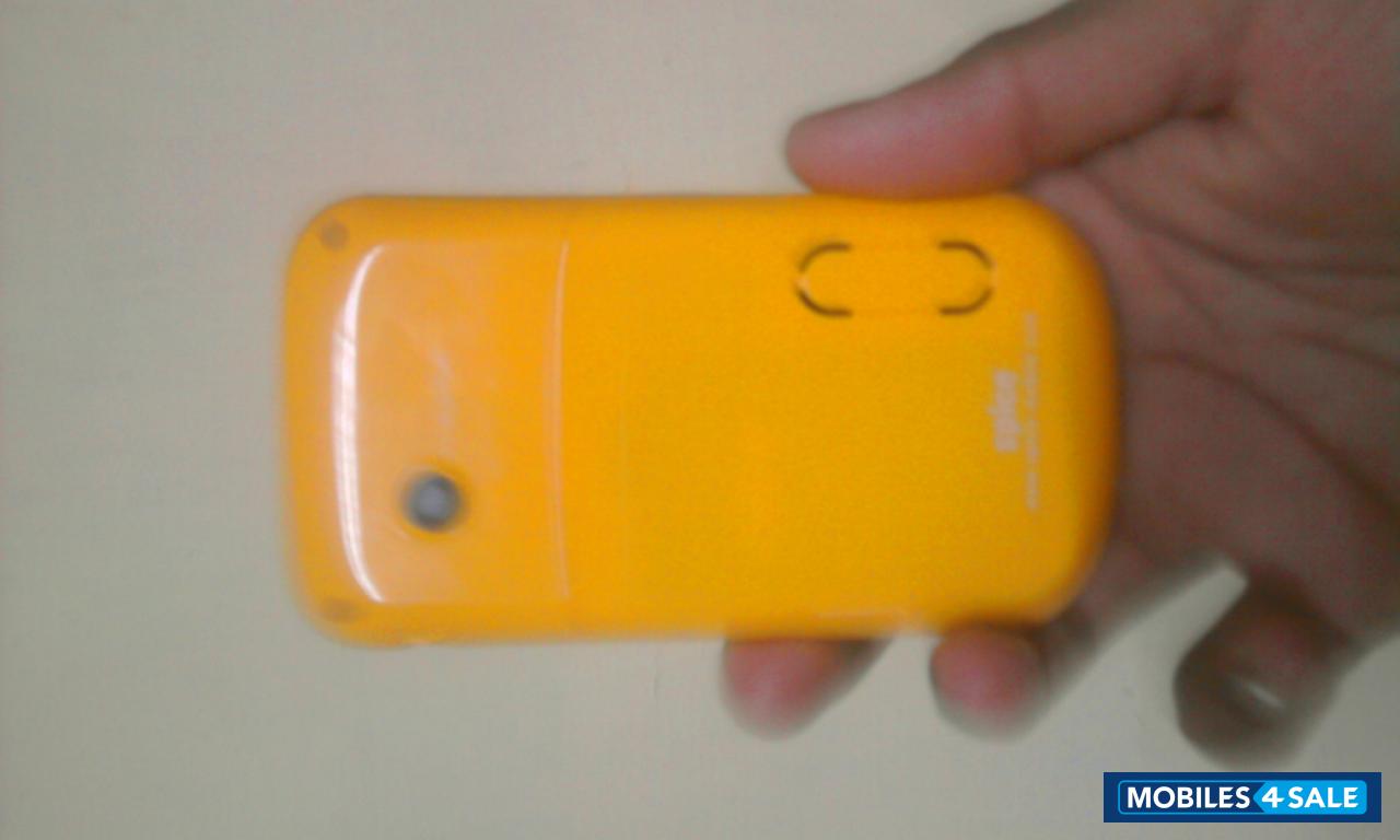 Black & Yellow Spice QT-60