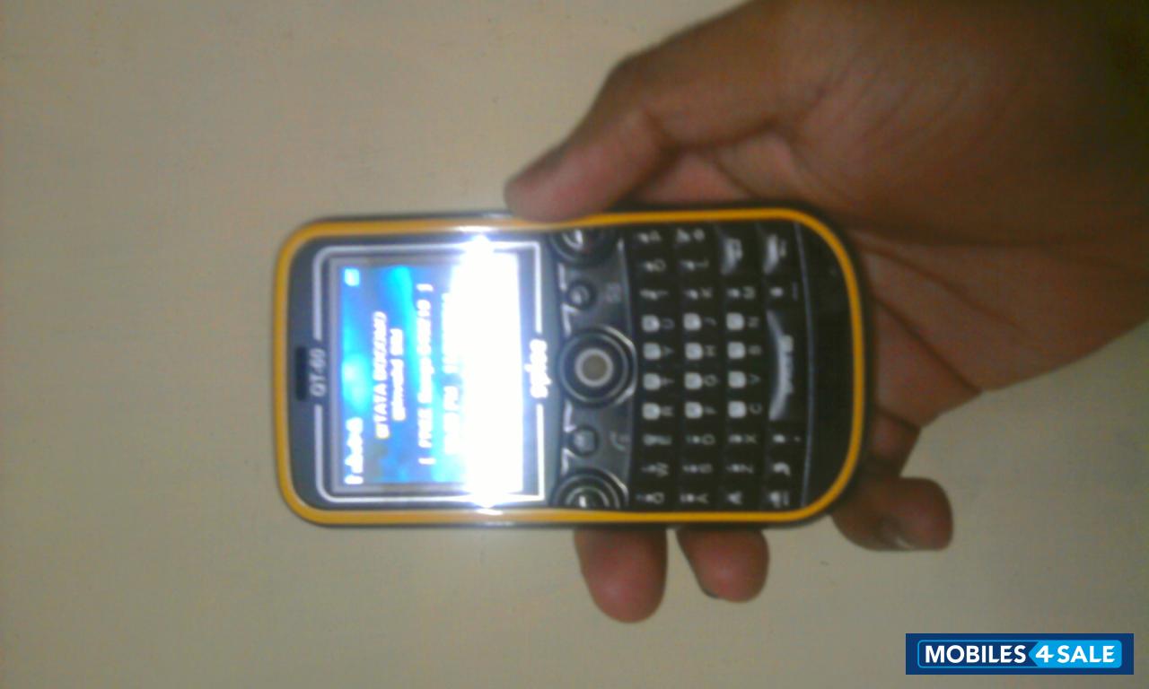 Black & Yellow Spice QT-60