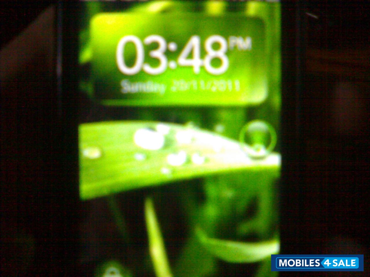 Black Spice M-6800 Black Spice M-6800