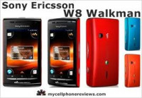 Orange And Black Sony Ericsson W8