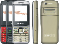 Gold With Silver Rokea R100