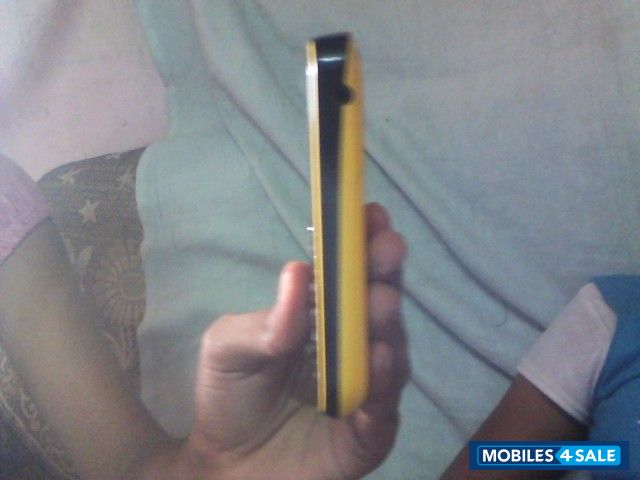 Black & Yellow Spice QT-60