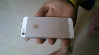 White(64gb) Apple iPhone 5