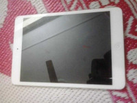 White Apple iPad mini