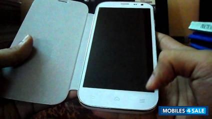 White Walton Primo NX