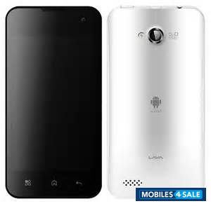 White Lava Iris N400