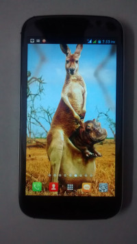 Grey Micromax Canvas 4 A210