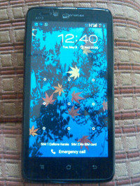 Grey Micromax Canvas Ego A113