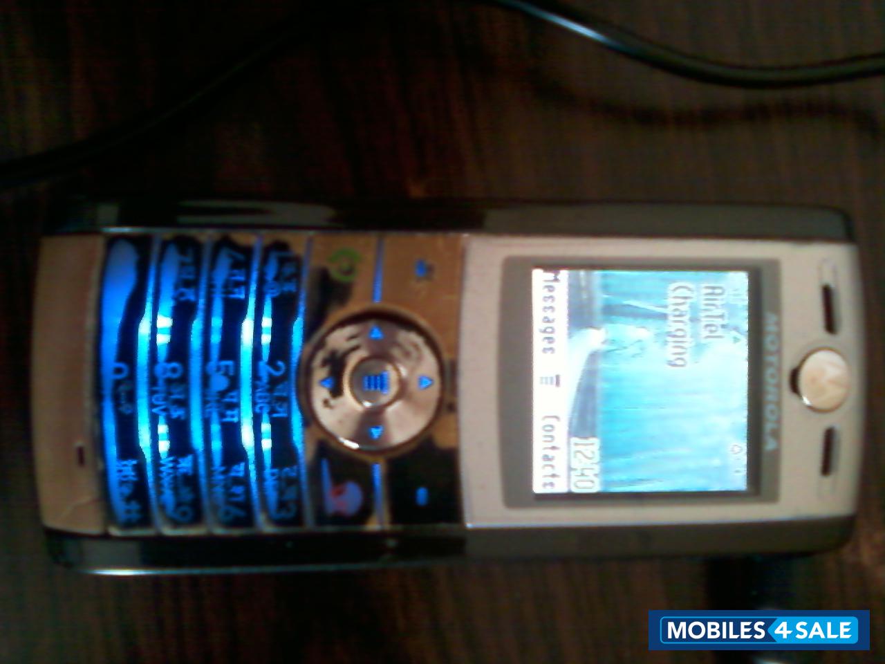 Grey Motorola W-series W215