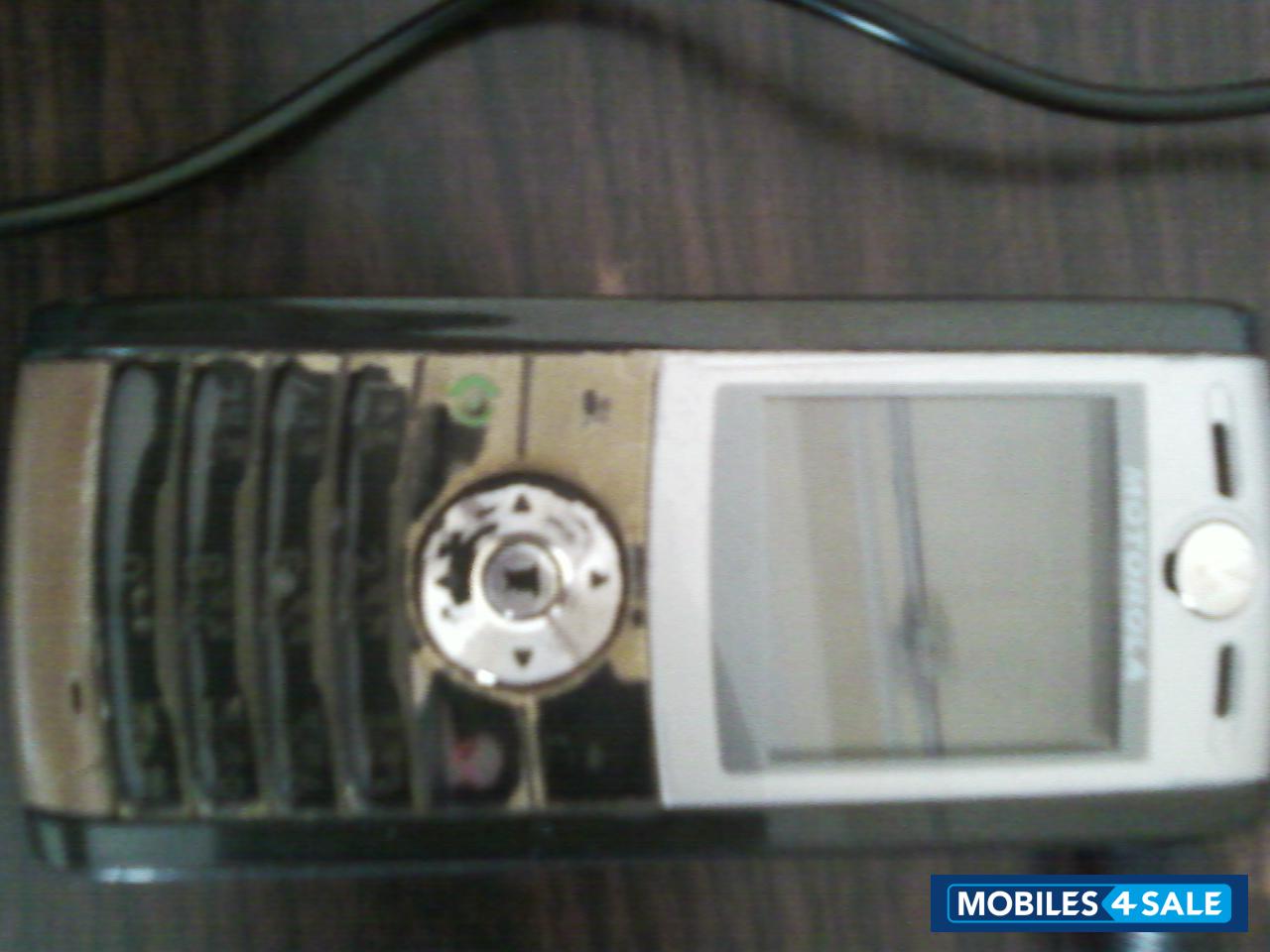 Grey Motorola W-series W215