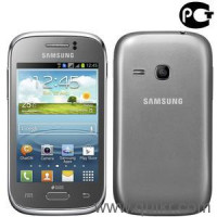 Metallic Silverr Samsung Galaxy Young Duos GT-S6312