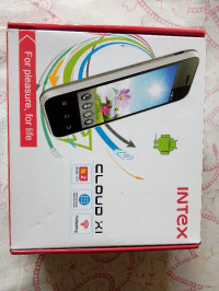 White Intex Cloud X1