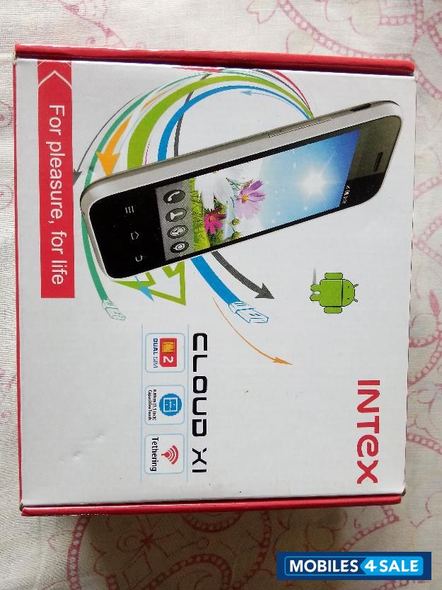 White Intex Cloud X1