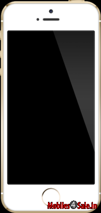 Black Apple iPhone 5S