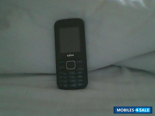 Black Spice Boss Don 2 M-5205