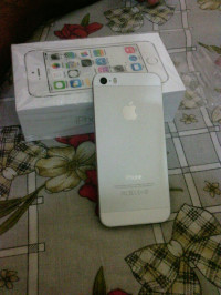 Silver Apple iPhone 5S
