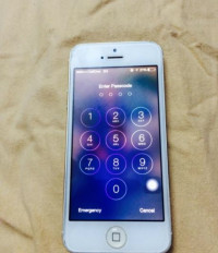 White Apple iPhone 5