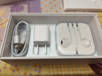 Silver/white Apple iPhone 5S