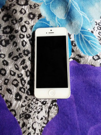 White Apple iPhone 5