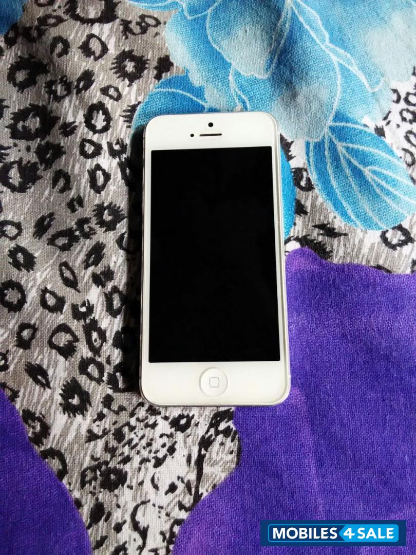 White Apple iPhone 5