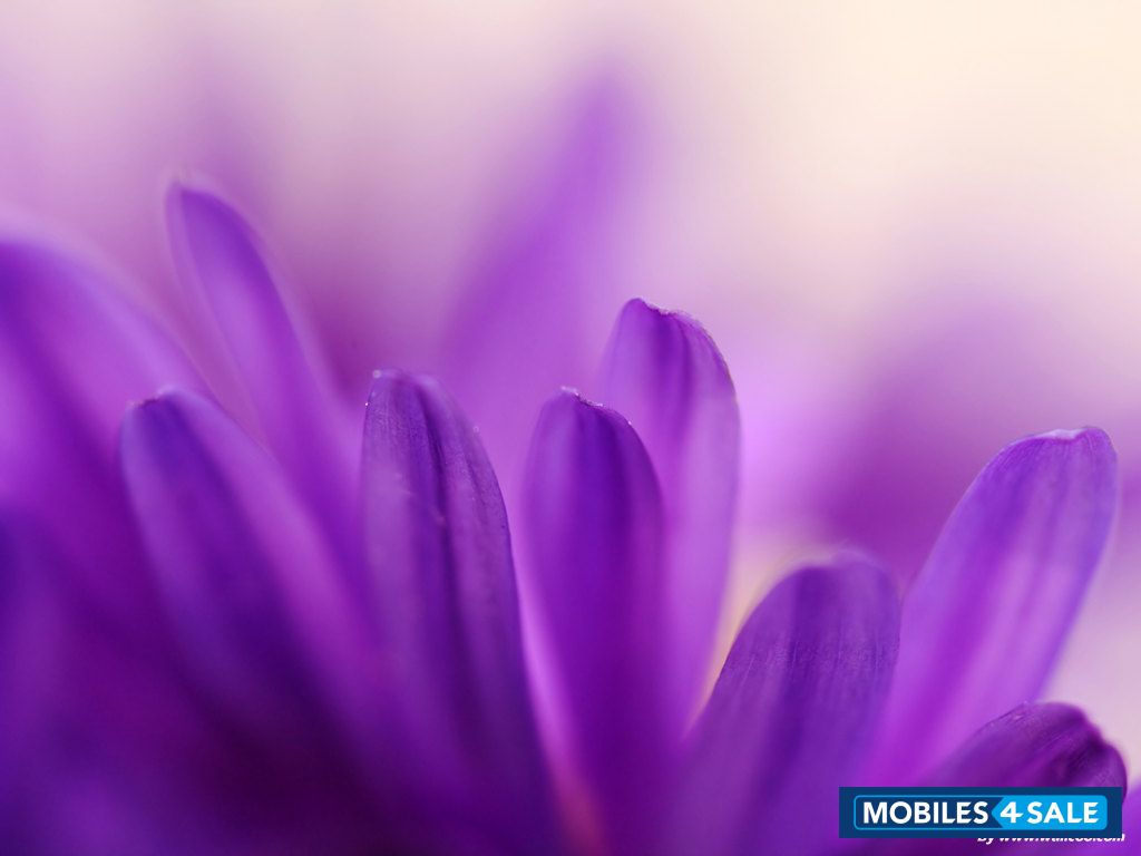 Black Sony Ericsson W810