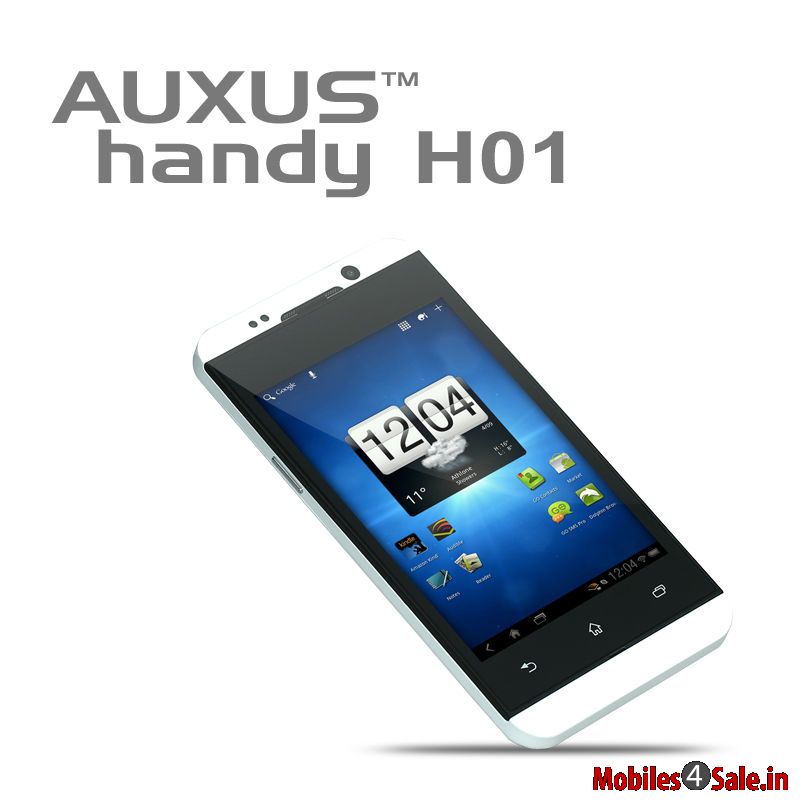 IBerry Auxus Handy H01