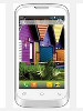 Intex Cloud Y3