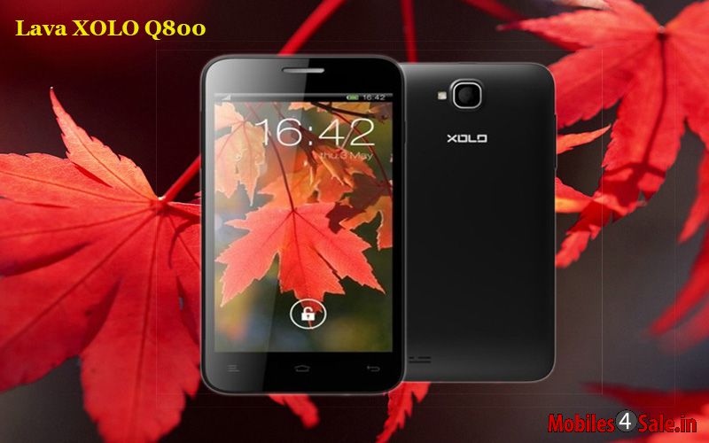 XOLO Q800 XOLO Q800